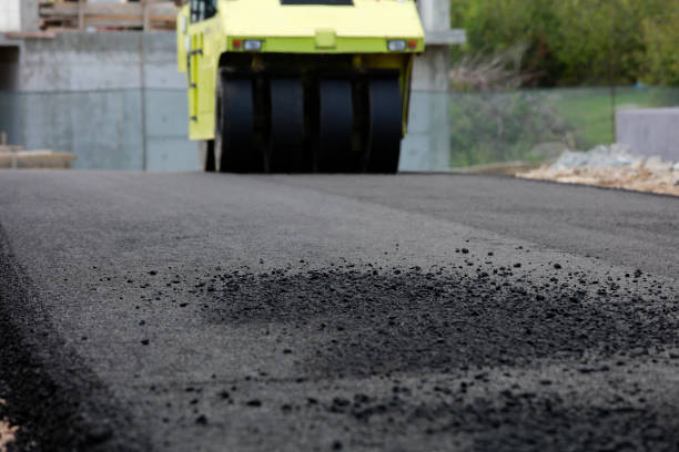 Best Local Driveway Pavers  in Louisville, MS